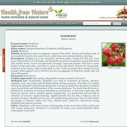 Medicinal use, description and other useful informations about Raspberry