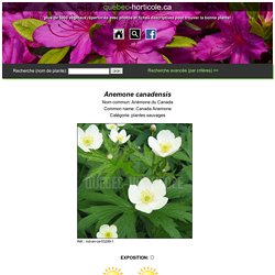 - Photos de plantes et fiches descriptives détaillées