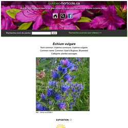 - Photos de plantes et fiches descriptives détaillées