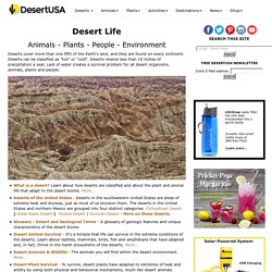 American Desert Biomes - Desert Environments - World Desert Biomes