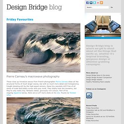 Design Bridge blog