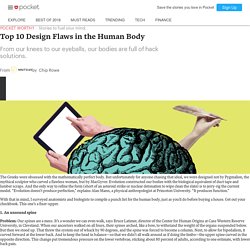 Top 10 Design Flaws in the Human Body - Nautilus - Pocket