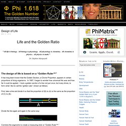 Life, its design and Phi, the Golden Ratio and Fibonacci series