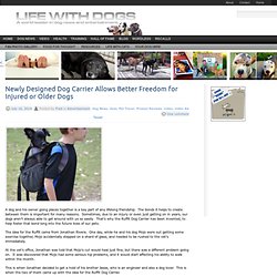 Newly Designed Dog Carrier Allows Better Freedom for Injured or Older Dogs