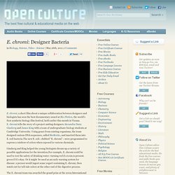 E. chromi: Designer Bacteria