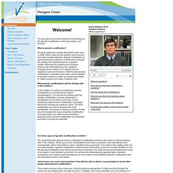 VISTA (Virtual International Science and Technology Academy)