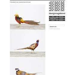 designvagabond