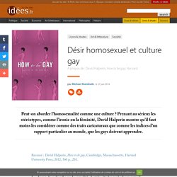 Désir homosexuel et culture gay