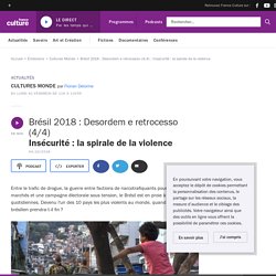 Brésil 2018 : Desordem e retrocesso (4/4) : Insécurité : la spirale de la violence