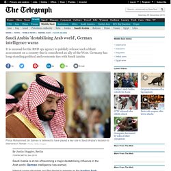 Saudi Arabia 'destabilising Arab world', German intelligence warns