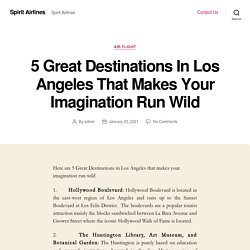 5 Great Destinations In Los Angeles That Makes Your Imagination Run Wild – Spirit Airlines
