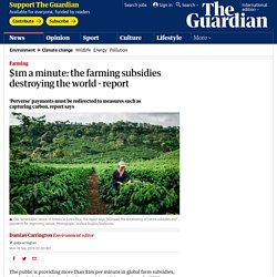 $1m a minute: the farming subsidies destroying the world - report