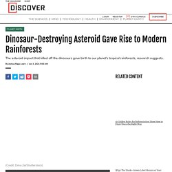 Dinosaur-Destroying Asteroid Gave Rise to Modern Rainforests