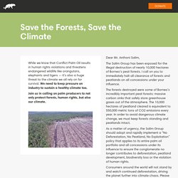 Stop Peat Destruction, Stop the Climate Crisis - Rainforest Action Network