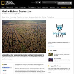 Marine Habitat Destruction