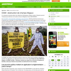 OGM : destruction de champs illégaux