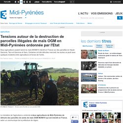 Tensions autour de la destruction de parcelles illégales de maïs OGM en Midi-Pyrénées ordonnée par l'Etat