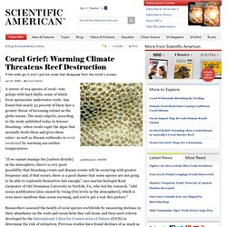 Coral Grief: Warming Climate Threatens Reef Destruction