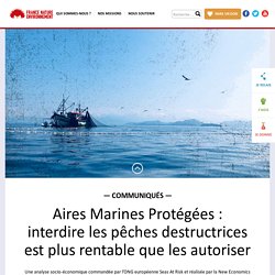 17 mai 2021 Aires Marines Protégées : interdire les pêches destructrices est plus rentable que les autoriser