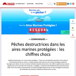 Pêches destructrices dans les aires marines protégées : les chiffres chocs