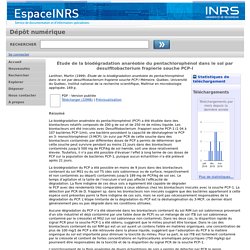 INRS_CA - 1999 - Étude de la biodégradation anaréobie du pentachlorophénol dans le sol par desulfitobacterium frapierie souche PCP-l