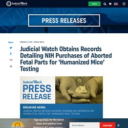 Judicial Watch Obtains Records Detailing NIH Purchases of Aborted Fetal Parts for ‘Humanized Mice’ Testing