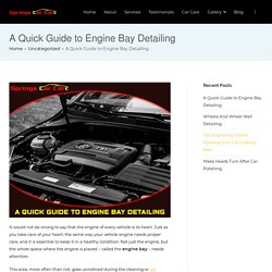 A Quick Guide to Engine Bay Detailing - Springs Car Care