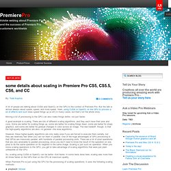 some details about scaling in Premiere Pro CS5, CS5.5, CS6, and CC