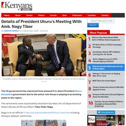 Details of President Uhuru's Meeting With Amb. Nagy Tibor