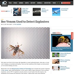 Bee Venom Used to Detect Explosives