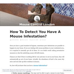 How To Detect You Have A Mouse Infestation? – Mouse Control London