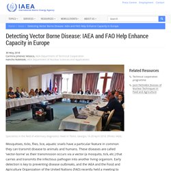 IAEA 30/05/18 Detecting Vector Borne Disease: IAEA and FAO Help Enhance Capacity in Europe