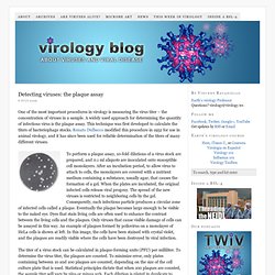 Detecting viruses: the plaque assay