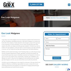 Gas Leak Detection & Repair in Mulgrave