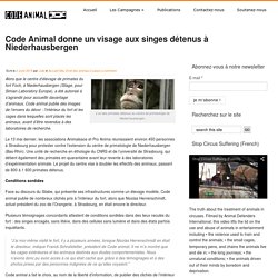 Code Animal donne un visage aux singes détenus à Niederhausbergen - Code Animal