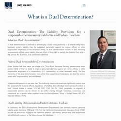 Dual Determination Definition: What is a Dual Determination? - Tax Attorney Newport Beach CA