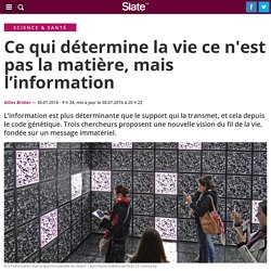 Du génome à Twitter, l’information, c’est la vie