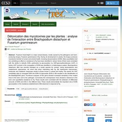 UNIVERSITE PARIS SUD 21/11/14 Thèse en ligne : Détoxication des mycotoxines par les plantes : analyse de l'interaction entre Brachypodium distachyon et Fusarium graminearum