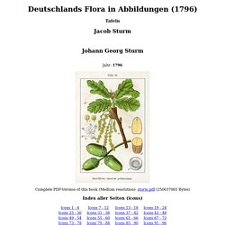 Deutschlands Flora in Abbildungen (1796)