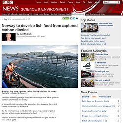 Norway to develop fish food from captured carbon dioxide