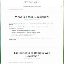 What is a Web Developer?