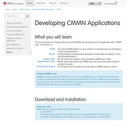 Developing CMMN Applications