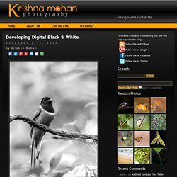 Developing Digital Black & White » Krishna Mohan Photography
