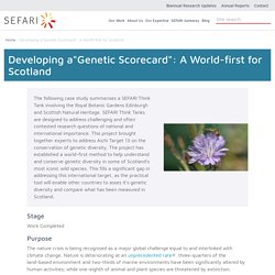 Developing a"Genetic Scorecard": A World-first for Scotland