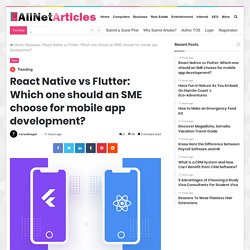 React Native vs Flutter: Which one should an SME choose for mobile app development? - AllNetArticles