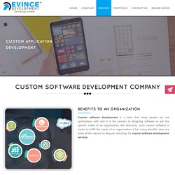 Custom Software & Application Development Company