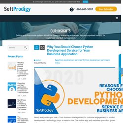 Why Choose Python Development Service for Your Business Application