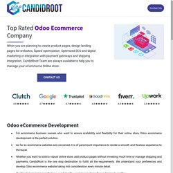 Odoo E-Commerce Website Development Company