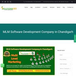 MLM Software Development Company in Chandigarh