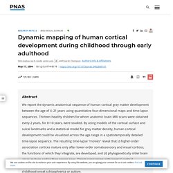 Dynamic mapping of human cortical development during childhood through early adulthood